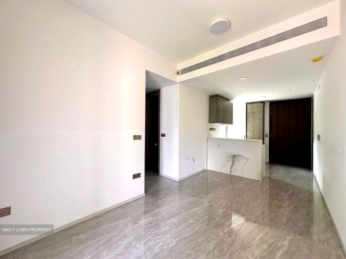 Leedon Green (D10), Condominium #557461071